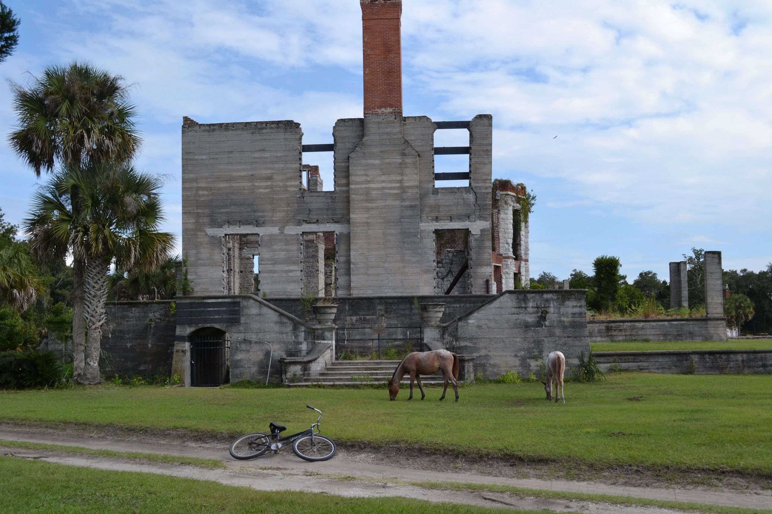 The Insider’s Guide to Experiencing Cumberland Island