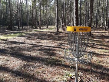 Gum Branch Ne Preserve & Disc Golf Photo Credit Terry Ldreth