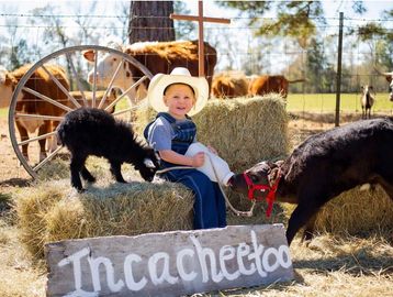 Incacheetoo Plantation &Petting Zoo