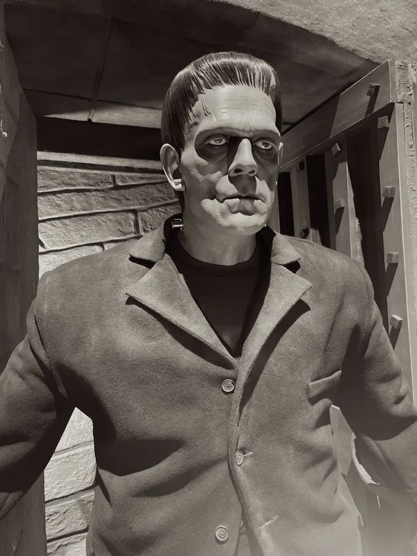 Frankenstein's Monster - In Doorway