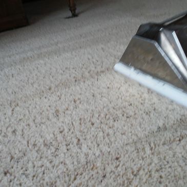 carpet cleaning