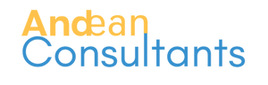 Andean Consultants Inc