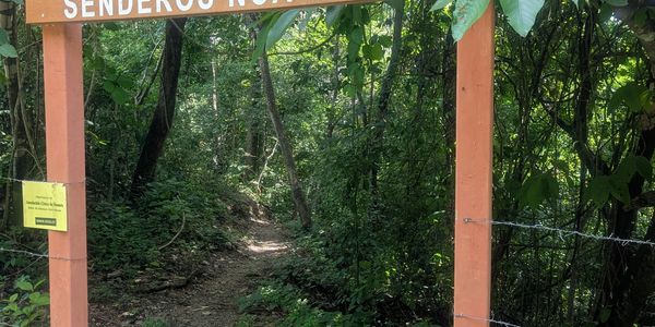 Entrance to Senderos NCA Trails in a lush green forest.