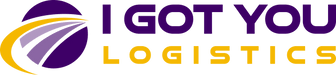 I Got You 