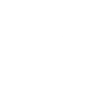 Project Value