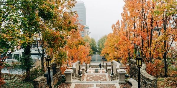 A scenic autumn path with colorful trees and stone steps in an urban area.