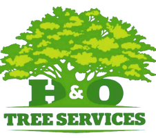 HNO Tree Services