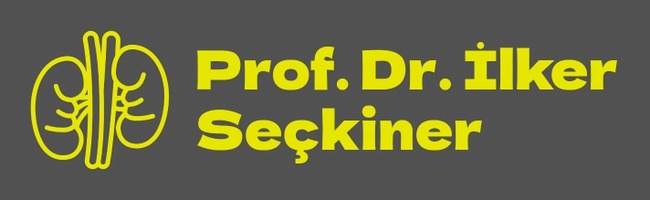 Prof. Dr. İlker Seçkiner