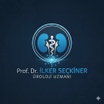 Prof. Dr. İlker Seçkiner