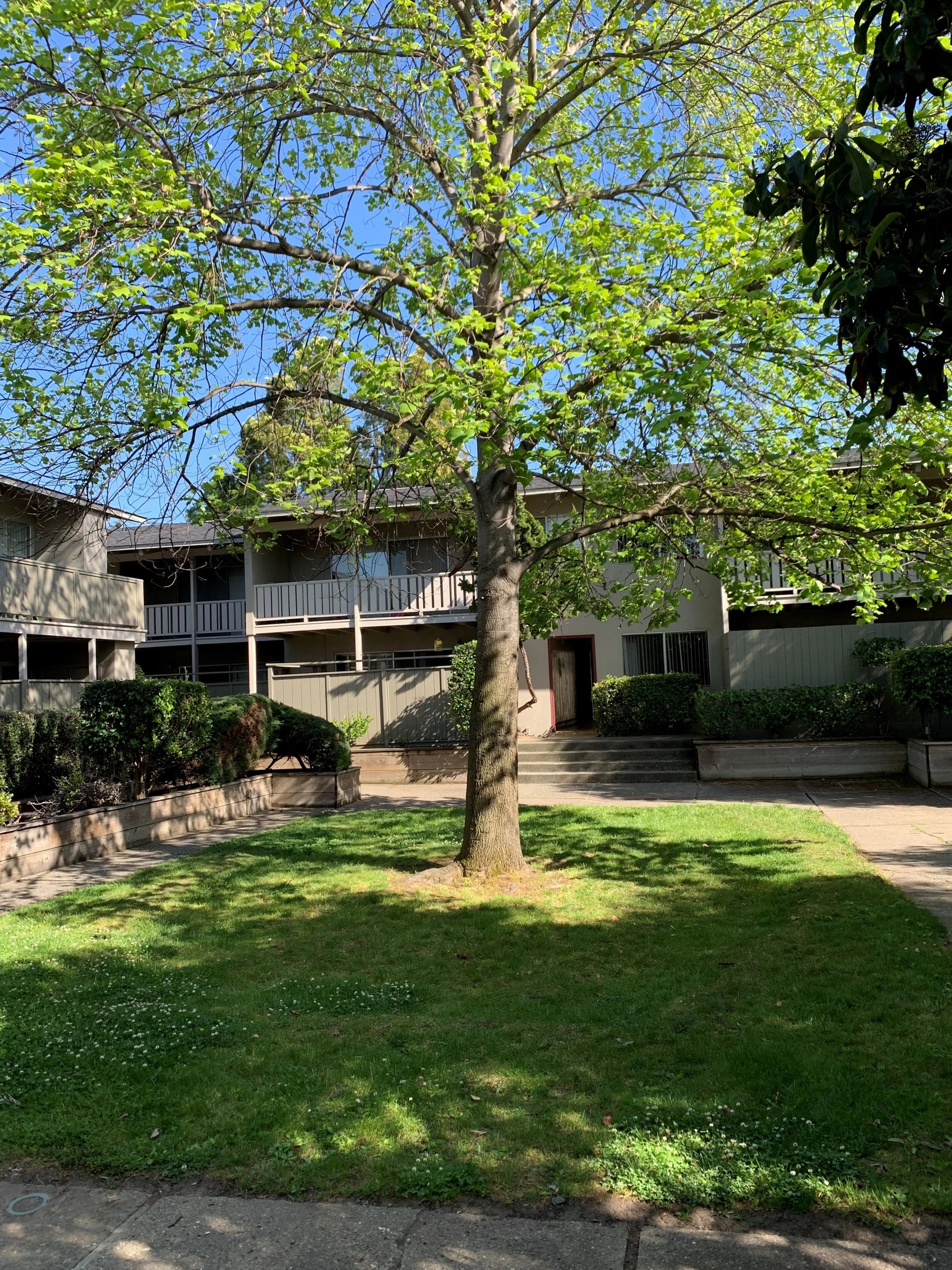 Baywood Apartments Amenities, Features Baywood Apartments