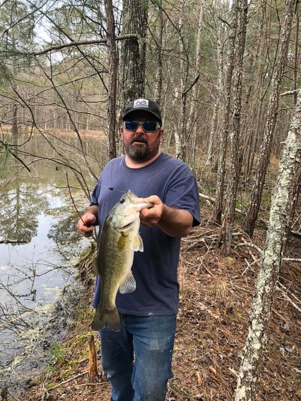Large Mouth Bass caught at Indian Mountain ATV Park in Piedmont, Alabama.