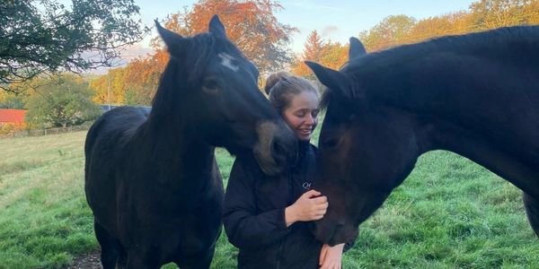 Equine chiropractor Ayrshire 
Equine physiotherapist Ayrshire
Horse massage Kilmarnock 
Equine Chiro