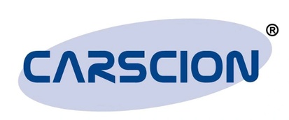CARSCION Consulting