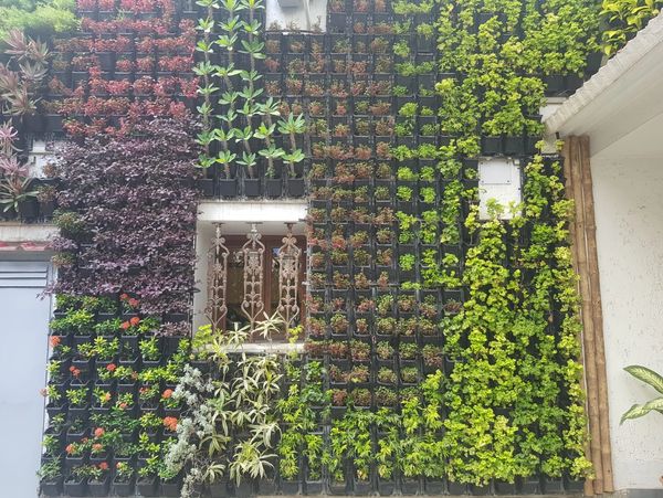 Vertical Gardening Interior/Exterior Design