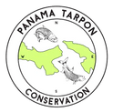 Panama Tarpon Conservation