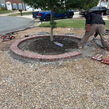 Man building a circular brick border around tree.
