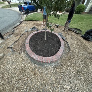 A small tree surrounded by a circular brick border with mulch inside.