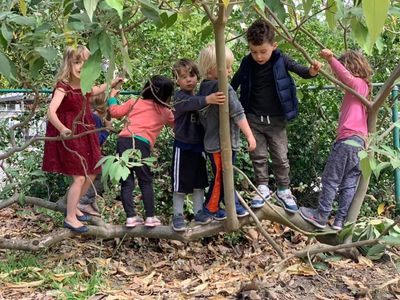 Crestwood hills cooperative nursery school essay 04 image