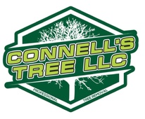 Connell's Tree