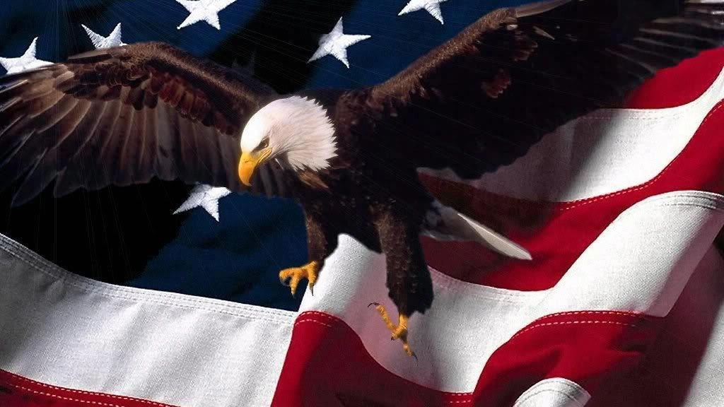 Eagle flying in front of billowing United States of America flag.