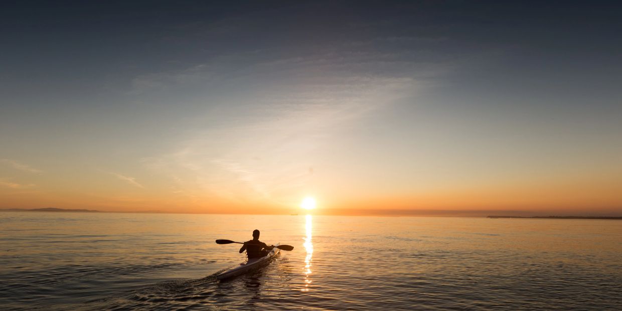 Photo by Patrick Fore on Unsplash