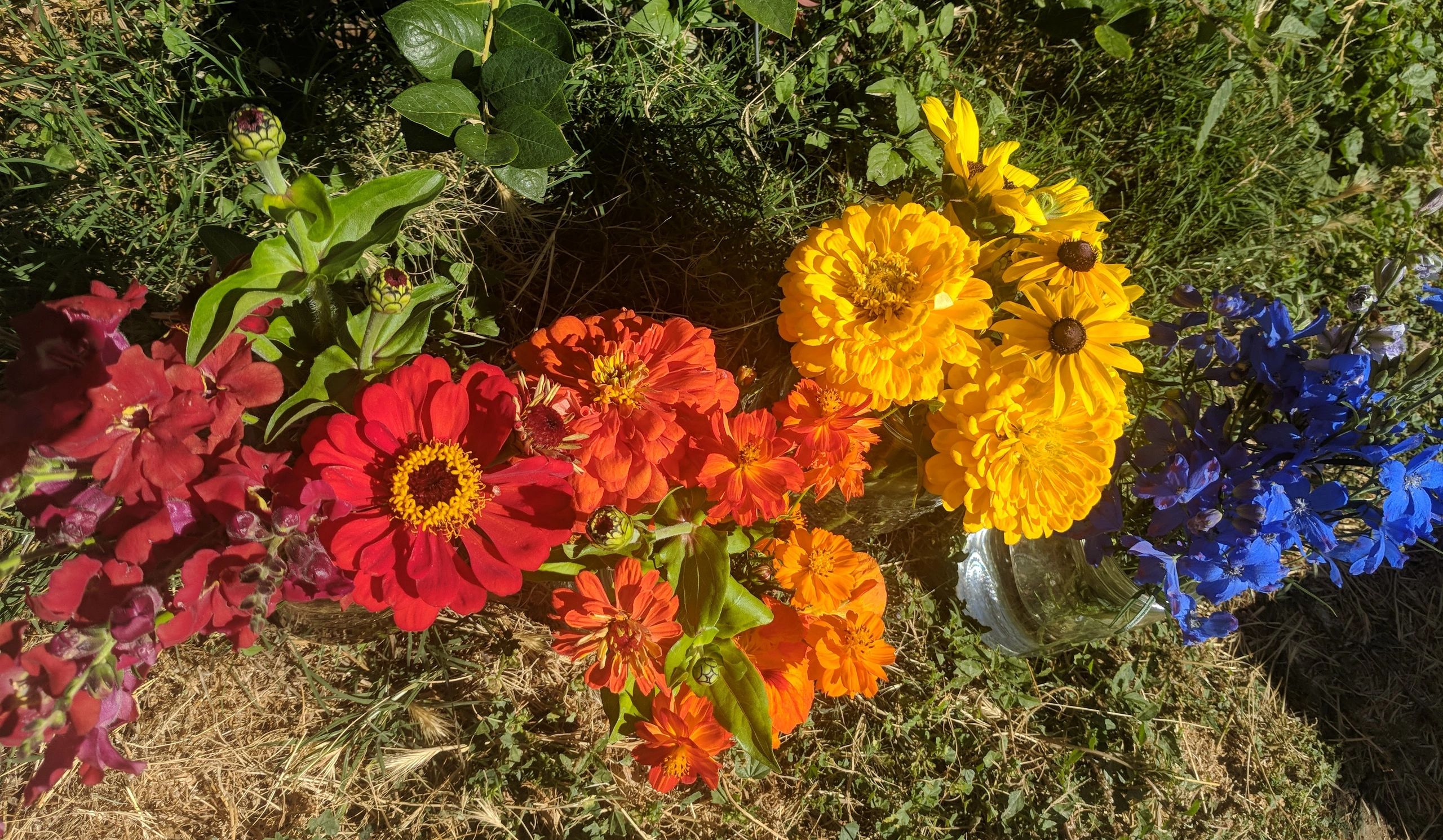 image3