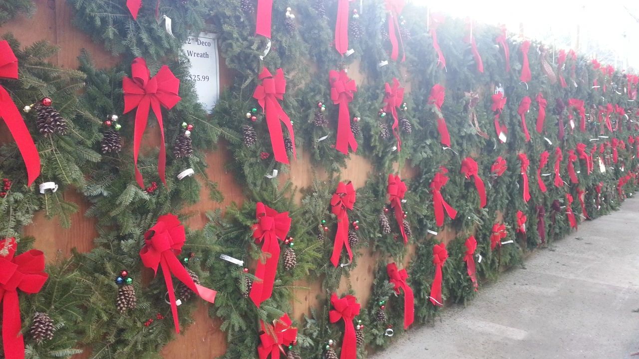 red bows on Christmas wreaths