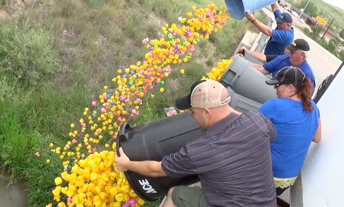 People releasing colorful rubber ducks into a river for a race.