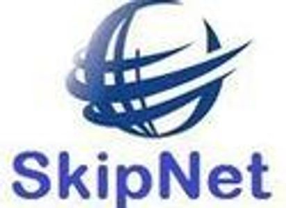 SkipNet logo with a stylized globe and network lines.
