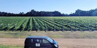 Private wine tours Margaret river