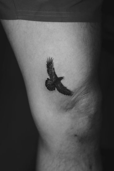 Single Needle Crow