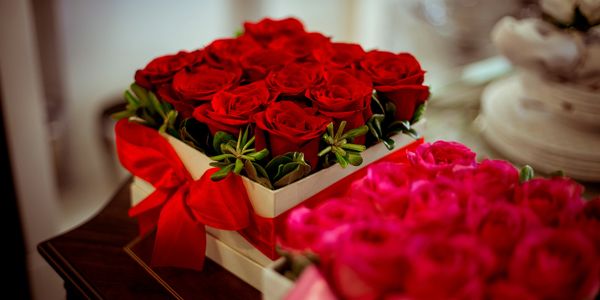 The bright red roses from Ecuador