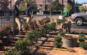 Suwannee, GA 
Panda Express