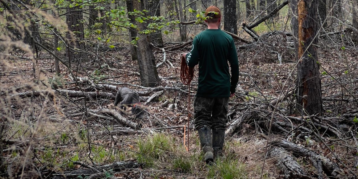 During our "Know Your Dog" workshop, handlers hit the field to learn their dogs tendencies