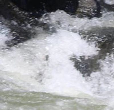 Ionic African river, famous for world-class whitewater rafting, showcases the untamed Zambezi