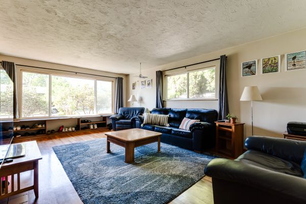 Cozy living room with dark blue leather furniture and large windows.