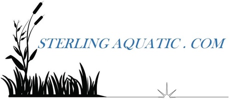 Sterling Aquatic