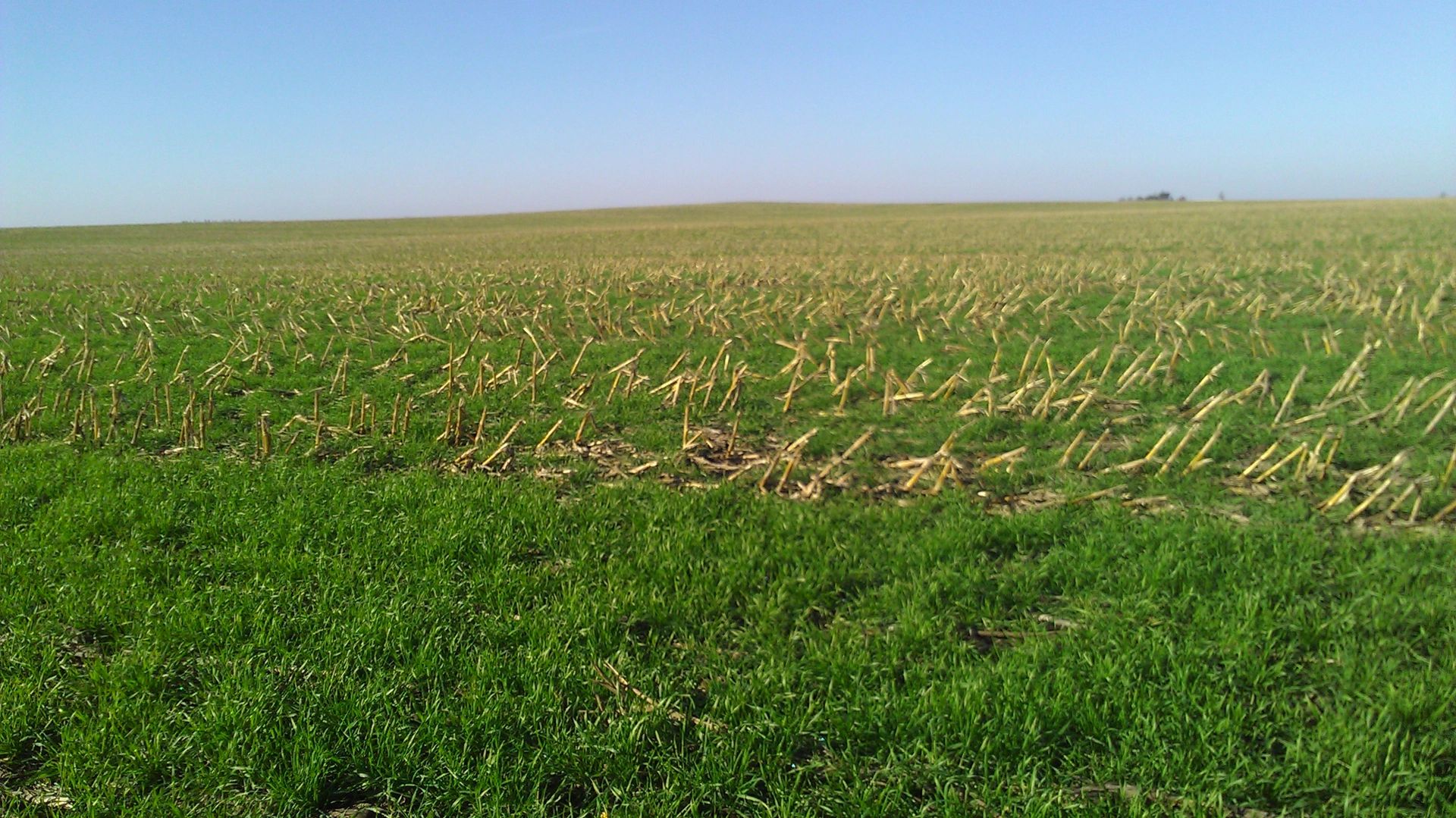 Newsletters and Articles Grundy County, Iowa Soil and Water