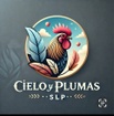 Cielo y Plumas