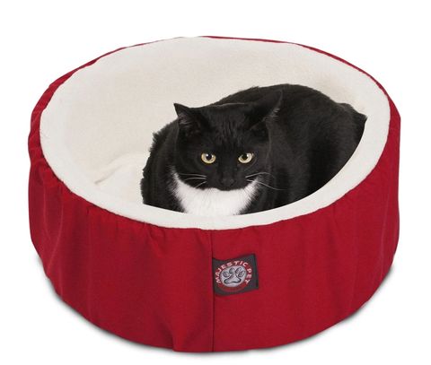 cat bed