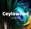 ceylowood.com