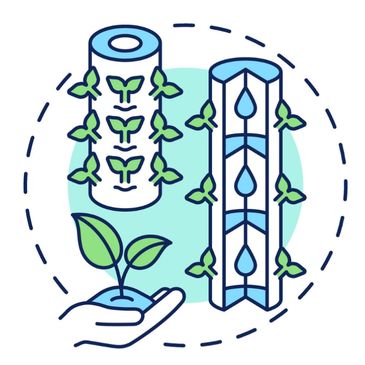 Sustainable vertical gardening with hydroponic system.
