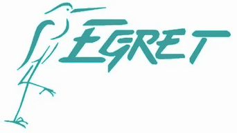 Egret Boat