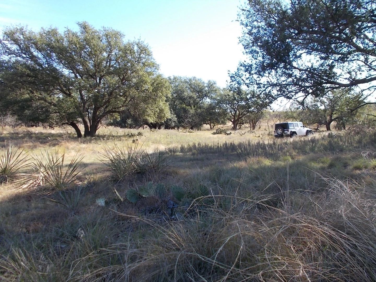 Gaines Land Sales