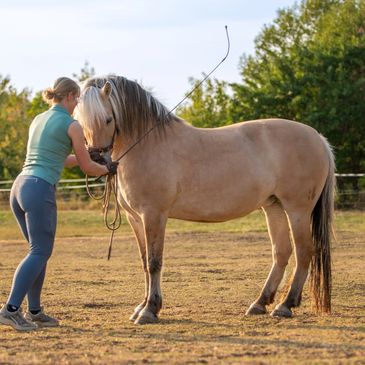 Frau trainiert Pferd im Freien.