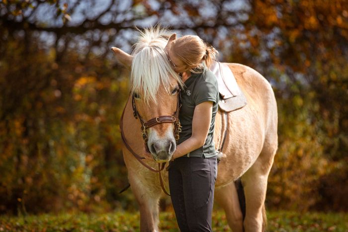 Mobiles Pferdetraining Baden-Württemberg Reitunterricht Zollernalb