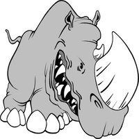Rhino Paintless Dent Repair
