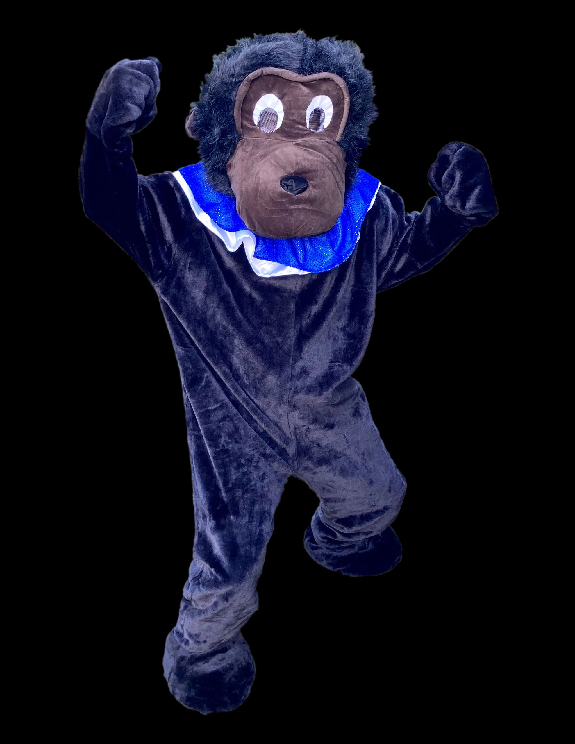 THE CLOWNS: Danger Ape