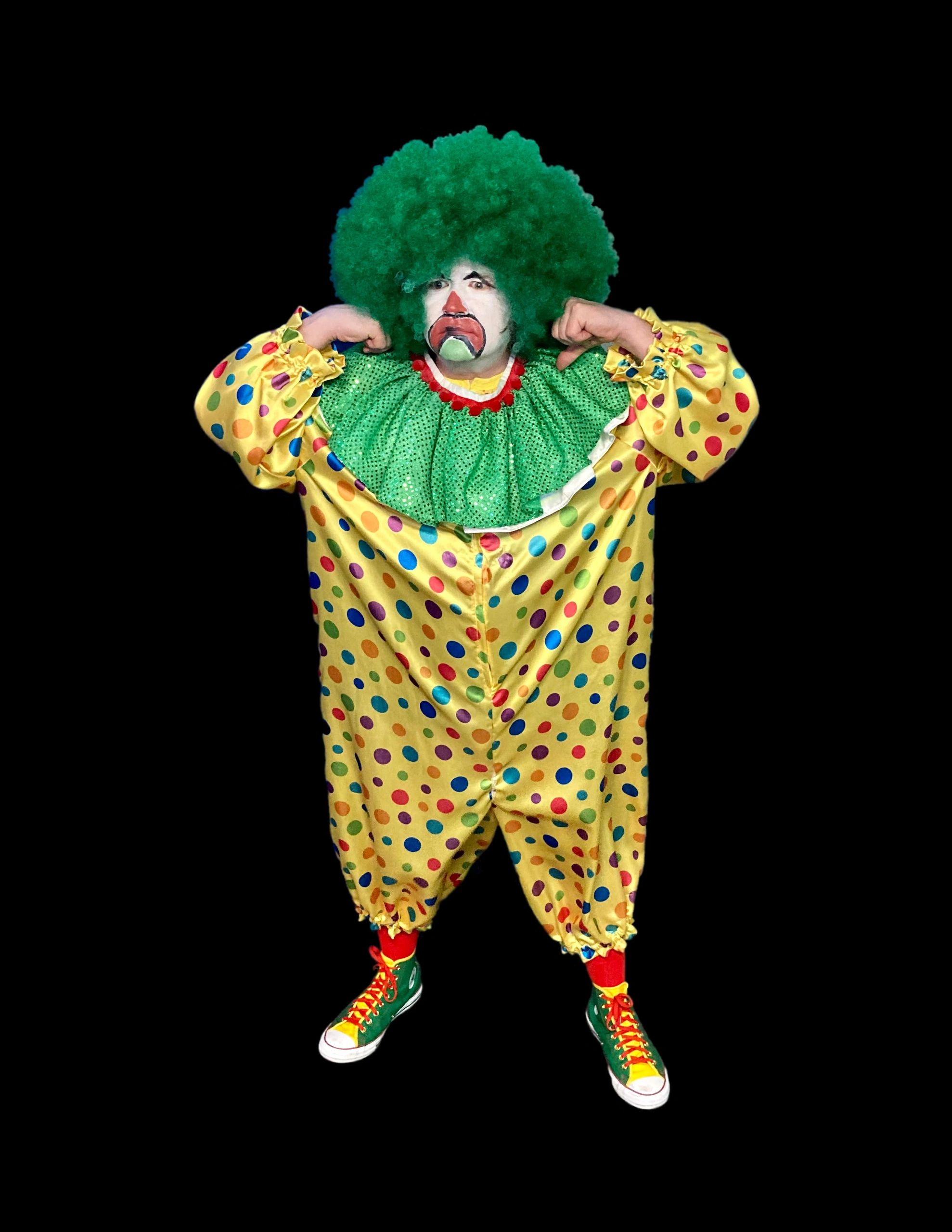 THE CLOWNS: Sir Ronald McDogface