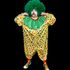 THE CLOWNS: Sir Ronald McDogface